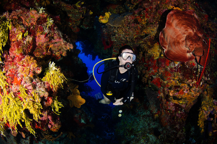 Underwater woman diver